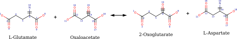 Reaction with atom–atom mapping
